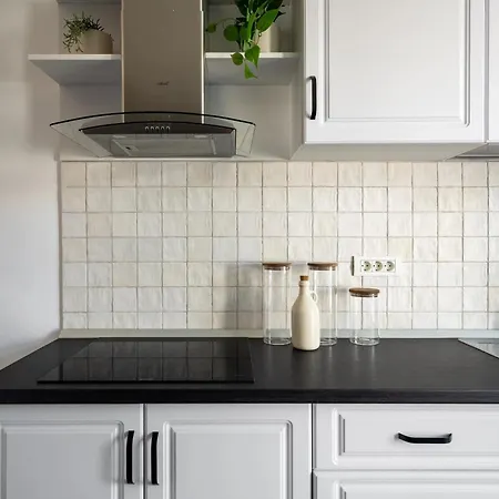 Appartement Classic 3br Loft Overlooking Cismigiu Gardens, Two Bathrooms, Balconies *