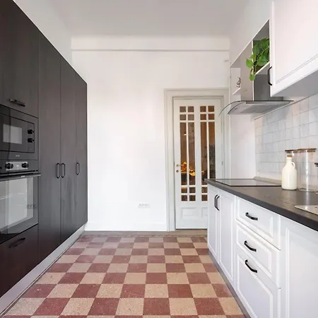 Classic 3br Loft Overlooking Cismigiu Gardens, Two Bathrooms, Balconies 公寓